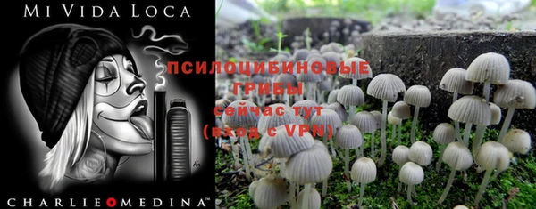индика Няндома