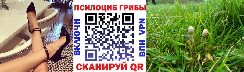 Псилоцибиновые грибы мухоморы купить закладку Чкаловск
