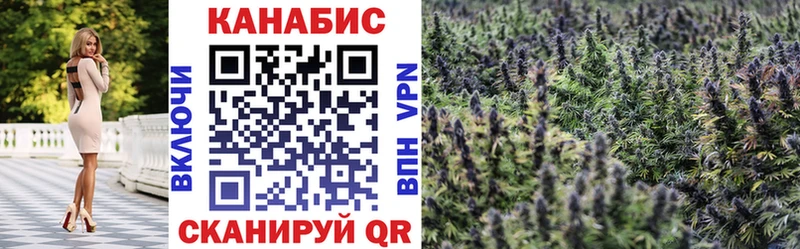 darknet как зайти  Чкаловск  Канабис THC 21%  мега онион 